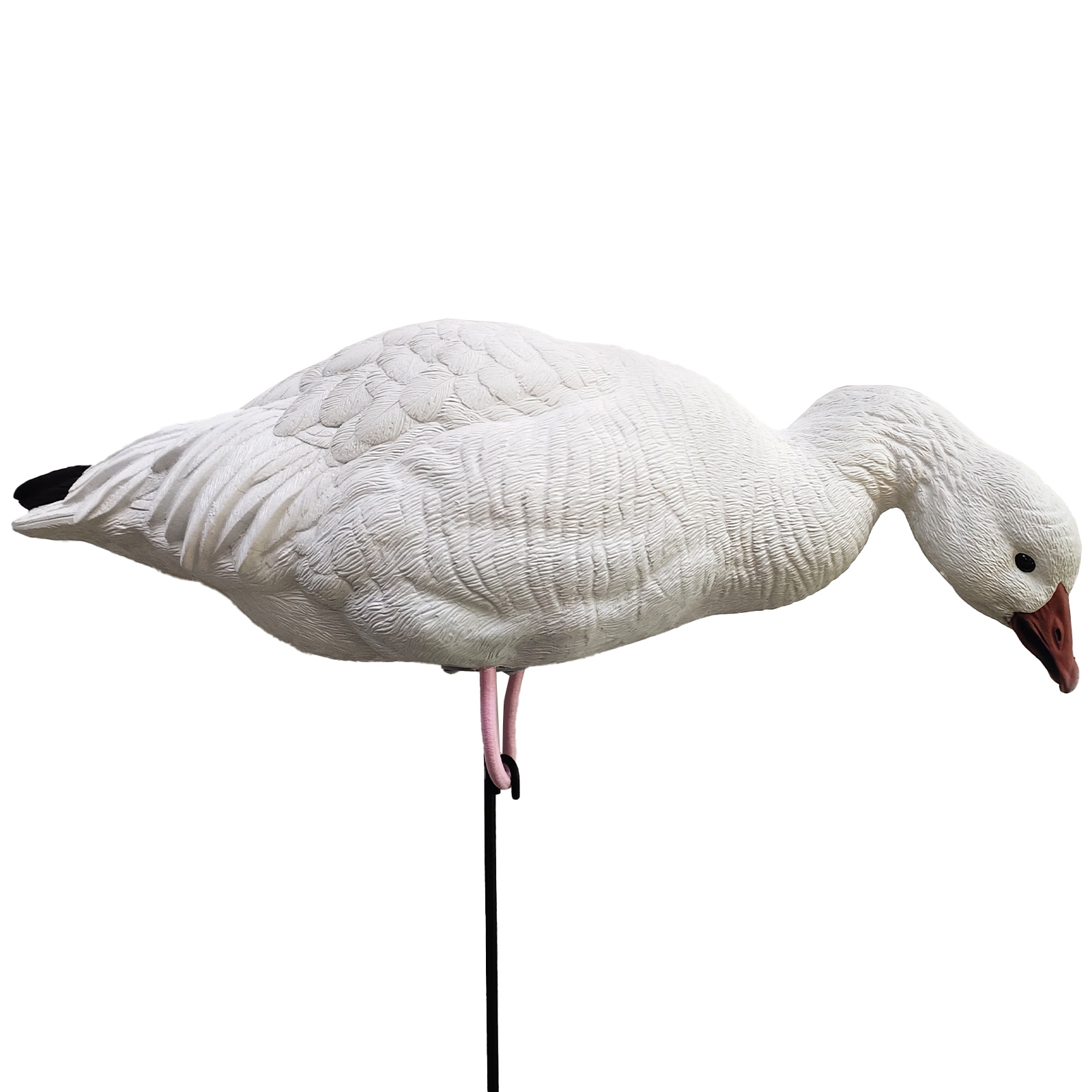 SQ348-1 Snow Goose Decoy