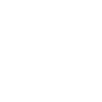 CUSTOMIZED PROCESSING