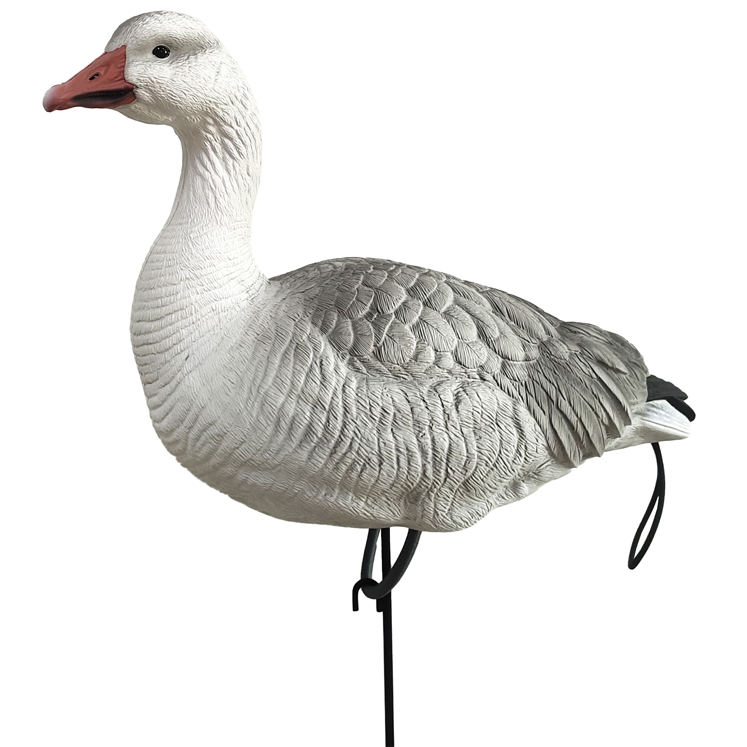 SQ348-3 Juvie Goose Decoy 