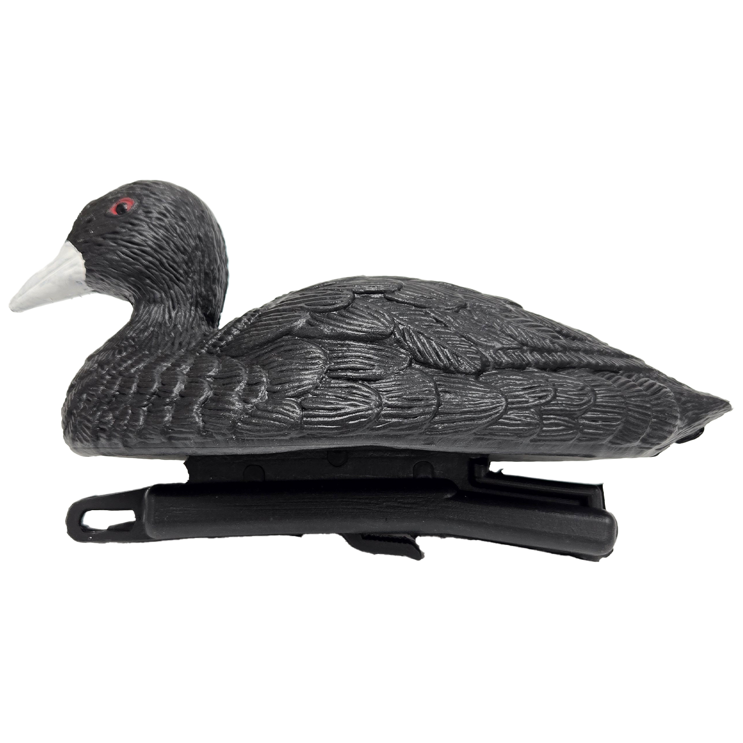 SQ361coot duck decoy