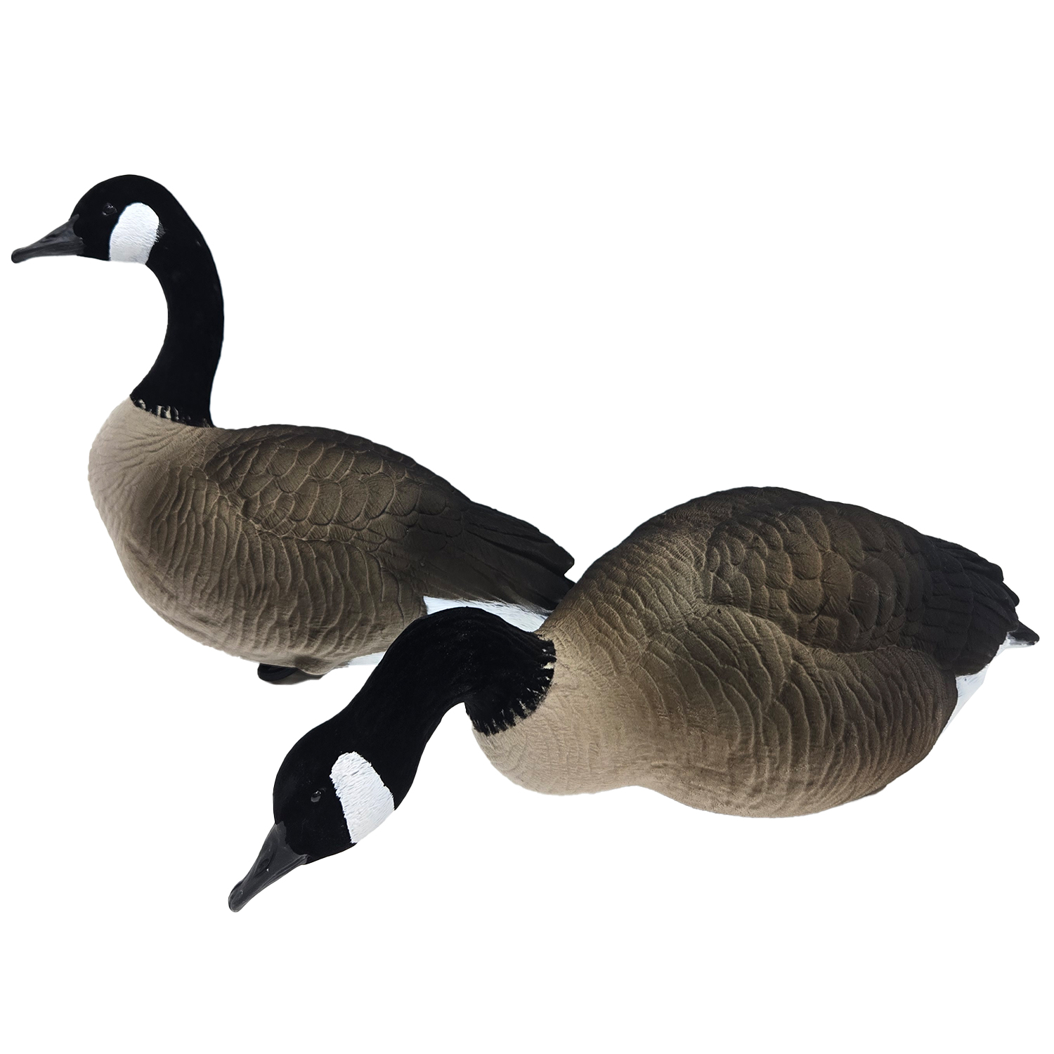 SQ349 HDPE Flocked Canada Goose
