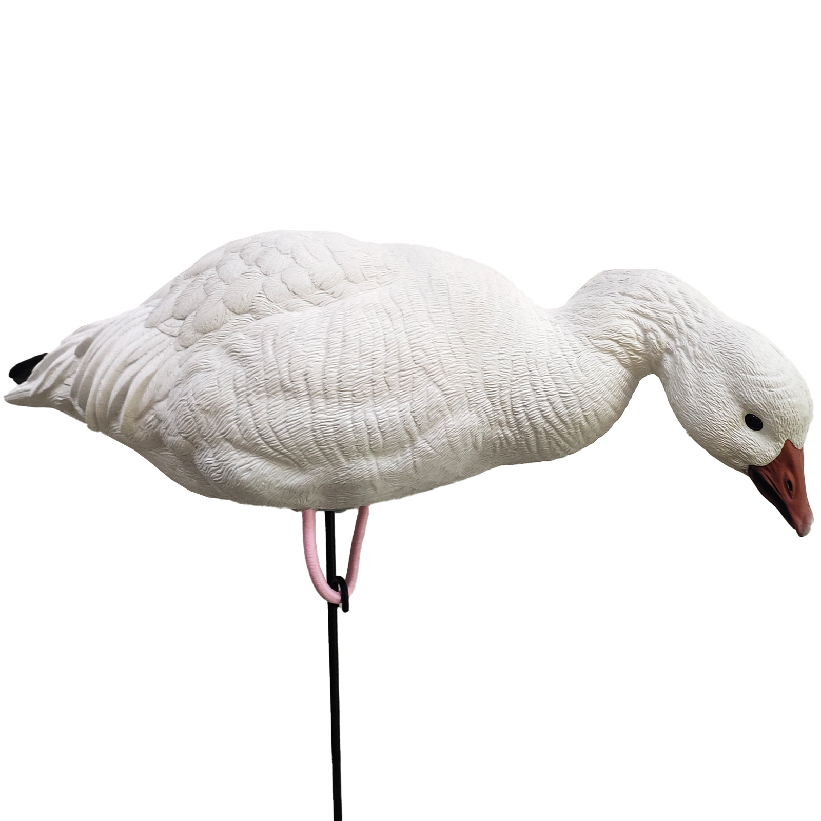 SQ348-1 Snow Goose Decoy