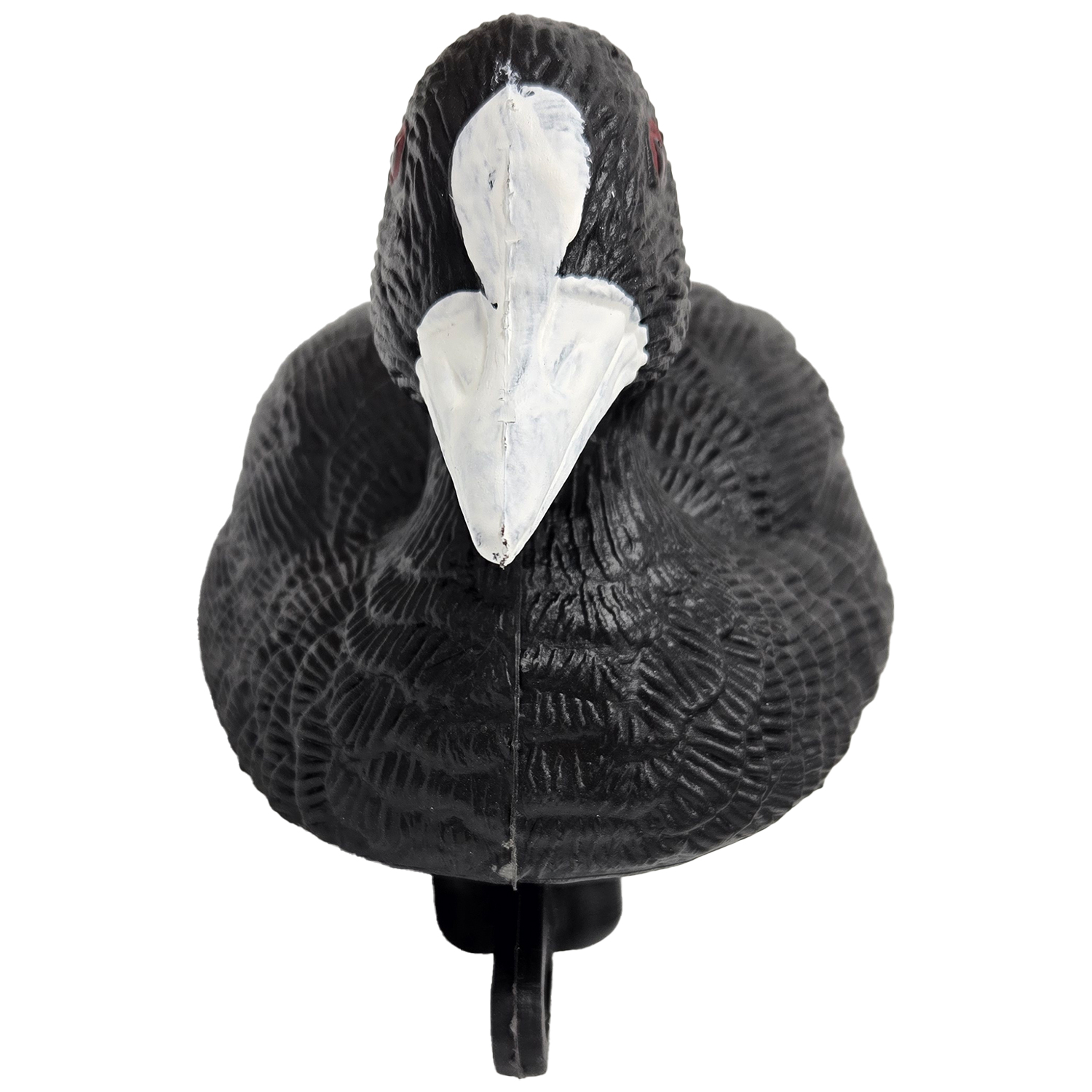 SQ361coot duck decoy