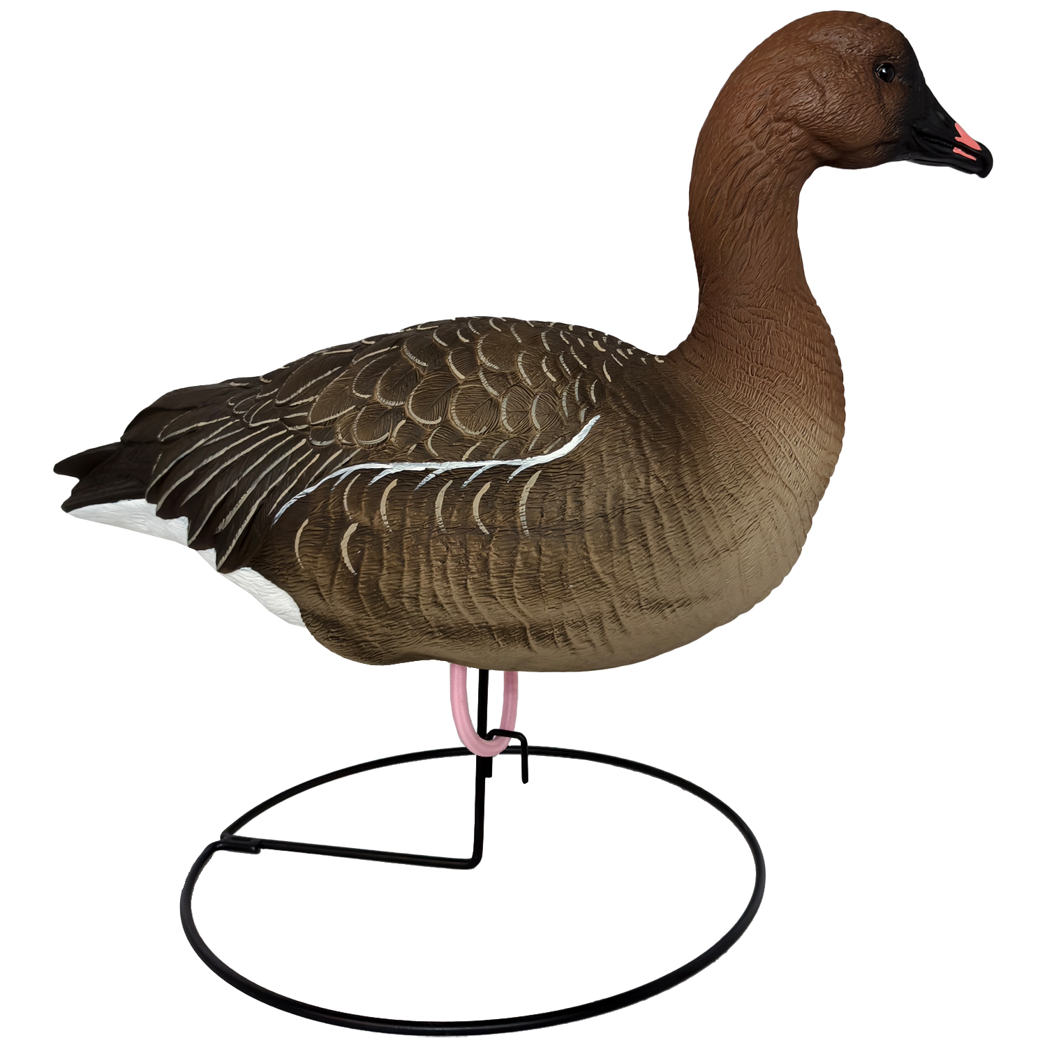 SQ350  Pink-footed Goose HDPE GOOSE DECOY