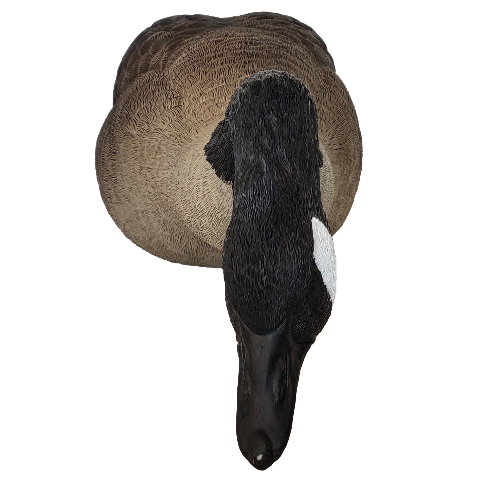SQ344-2 Hard Canada Goose Decoy