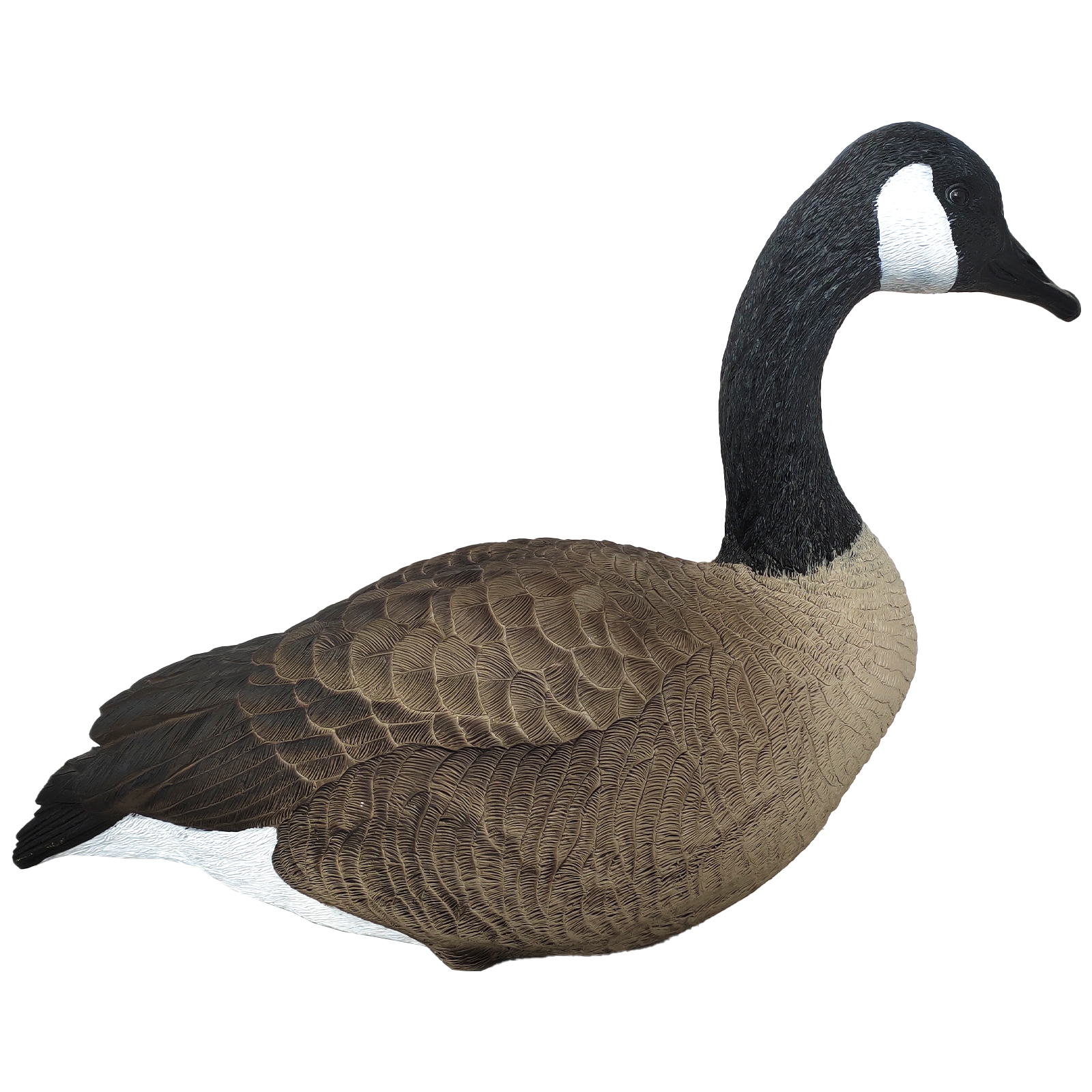 SQ344-2 Hard Canada Goose Decoy