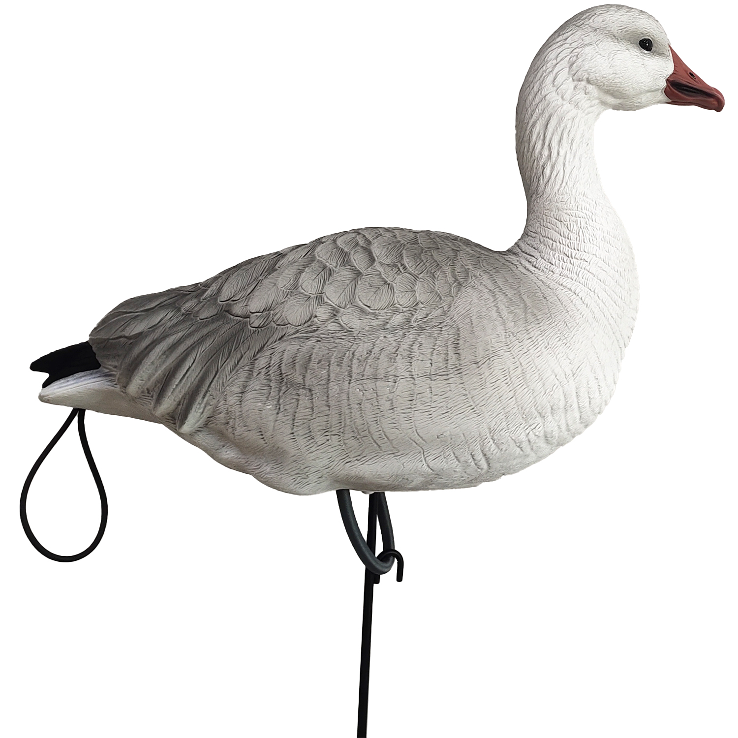 SQ348-3 Juvie Goose Decoy 