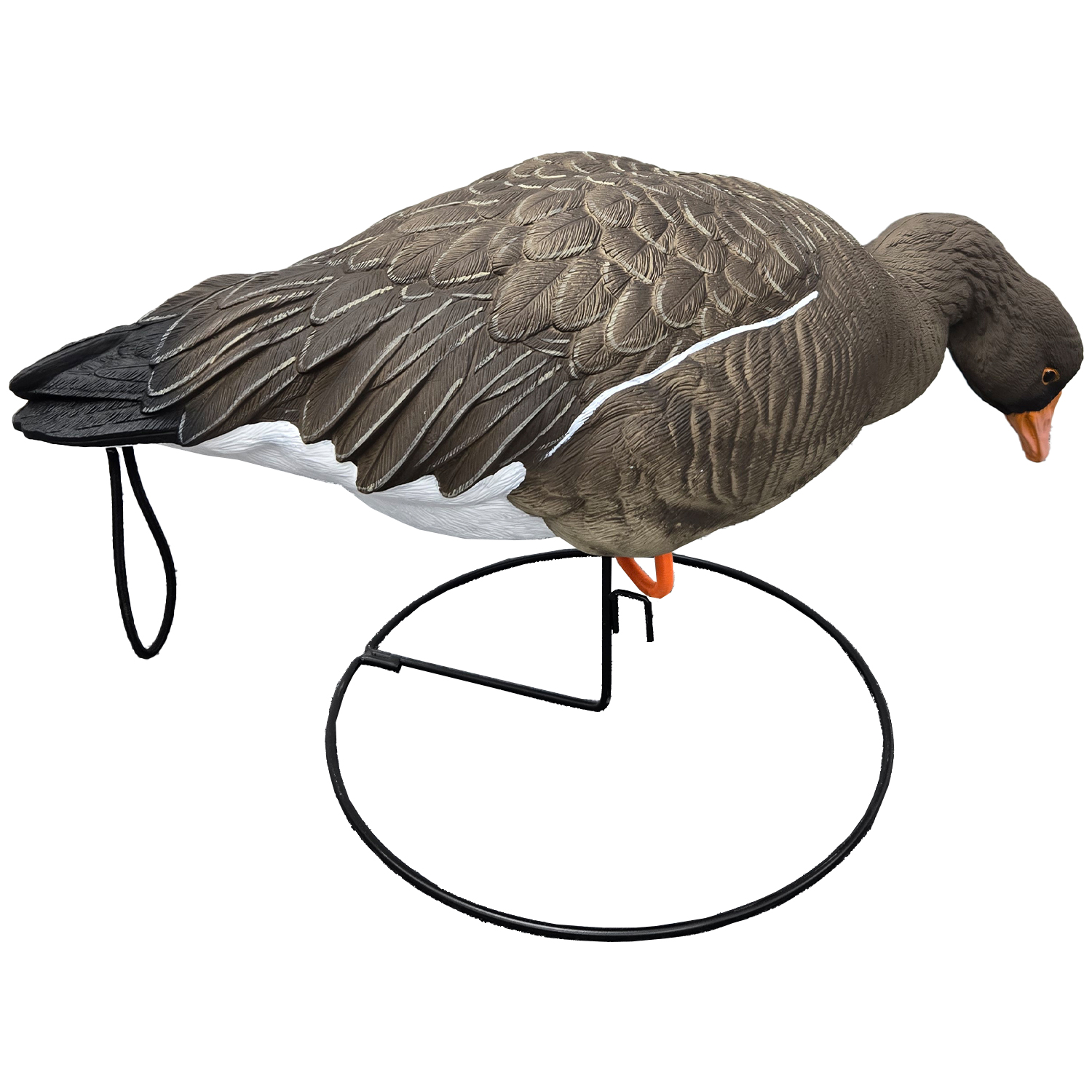 SQ351 Orange-legged Goose HDPE GOOSE DECOY