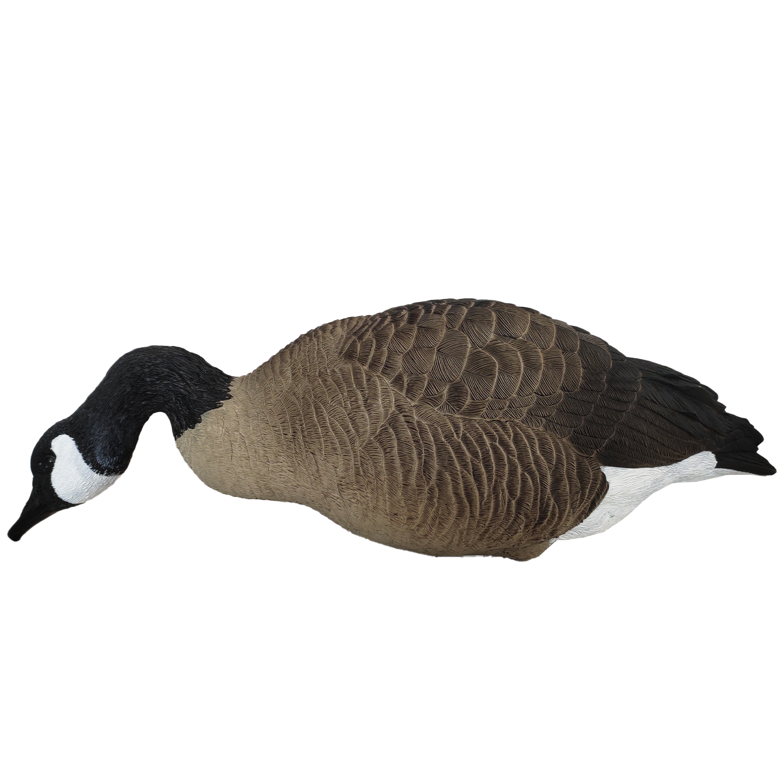 SQ344-2 Hard Canada Goose Decoy