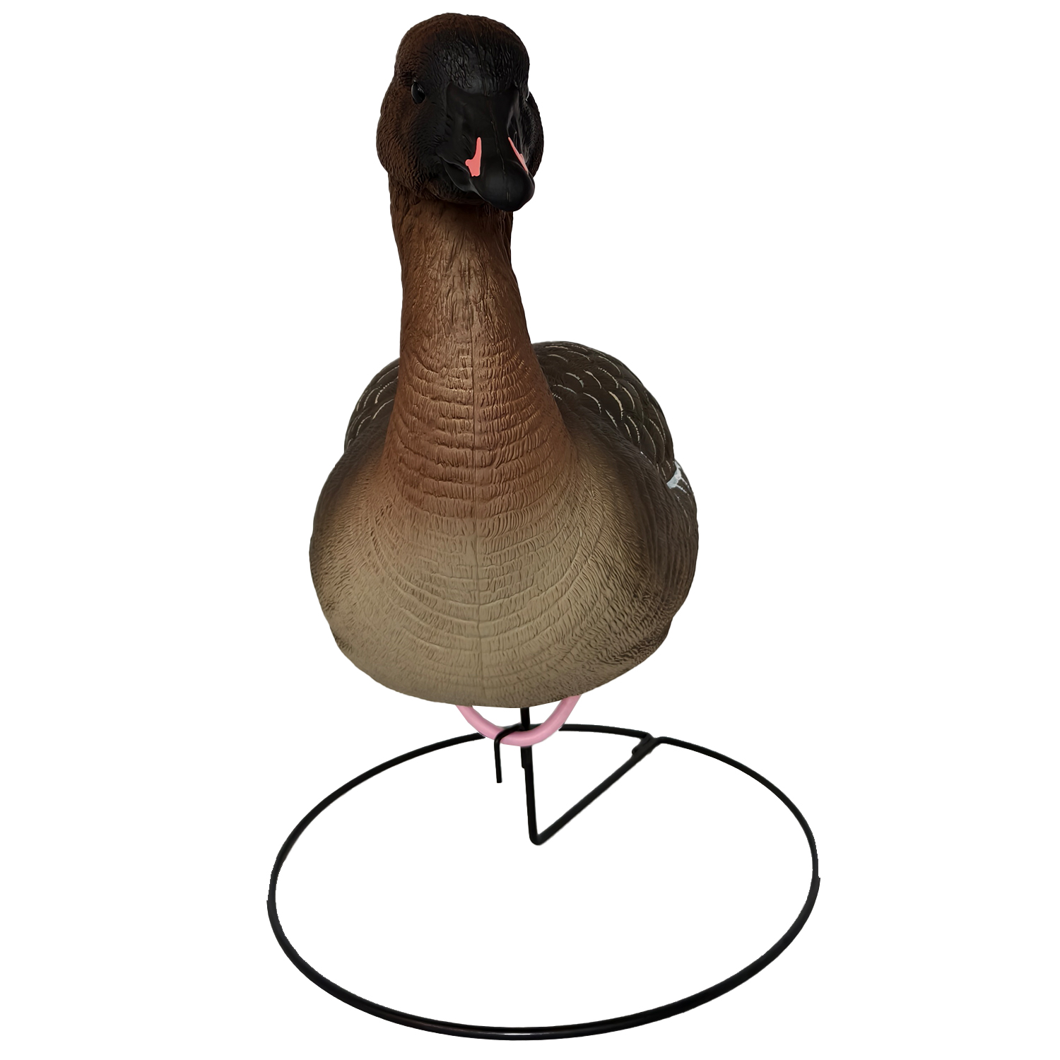 SQ350  Pink-footed Goose HDPE GOOSE DECOY