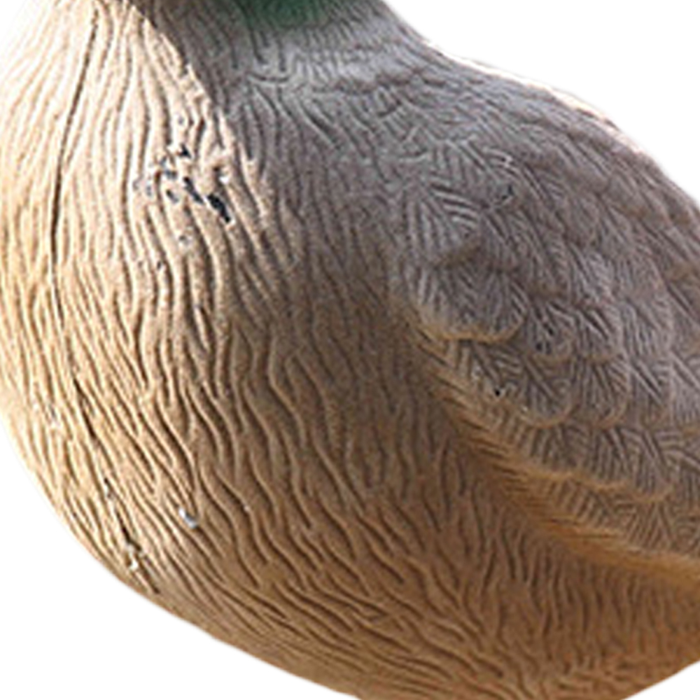 SQ-P001