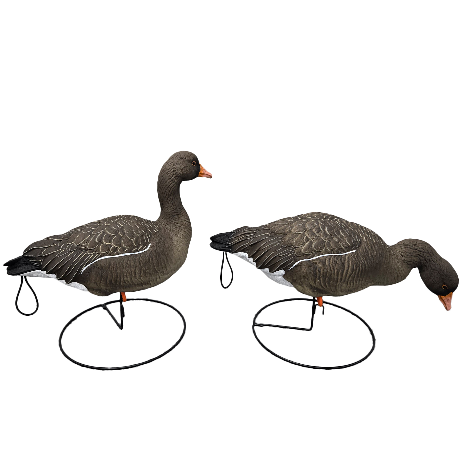 SQ351 Orange-legged Goose HDPE GOOSE DECOY