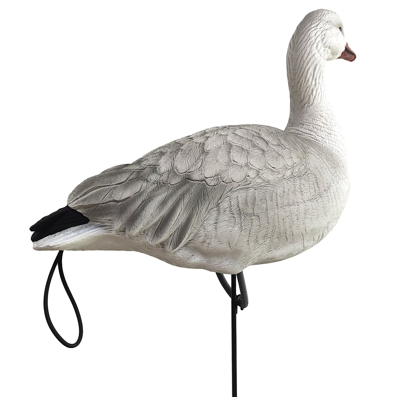 SQ348-3 Juvie Goose Decoy 