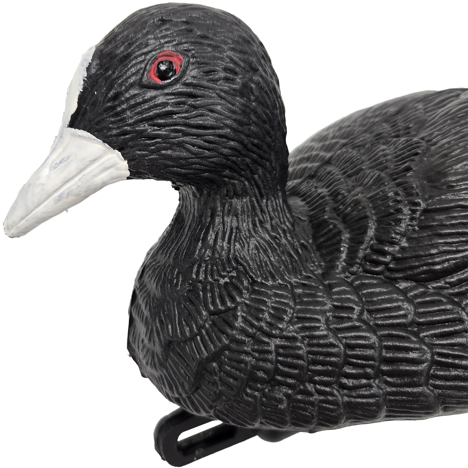 SQ361coot duck decoy