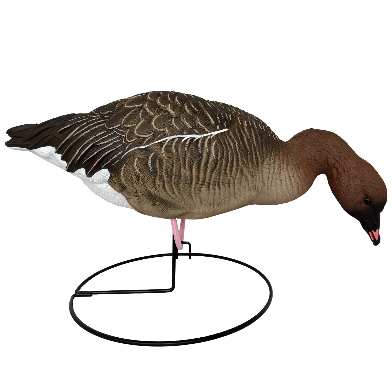SQ350  Pink-footed Goose HDPE GOOSE DECOY