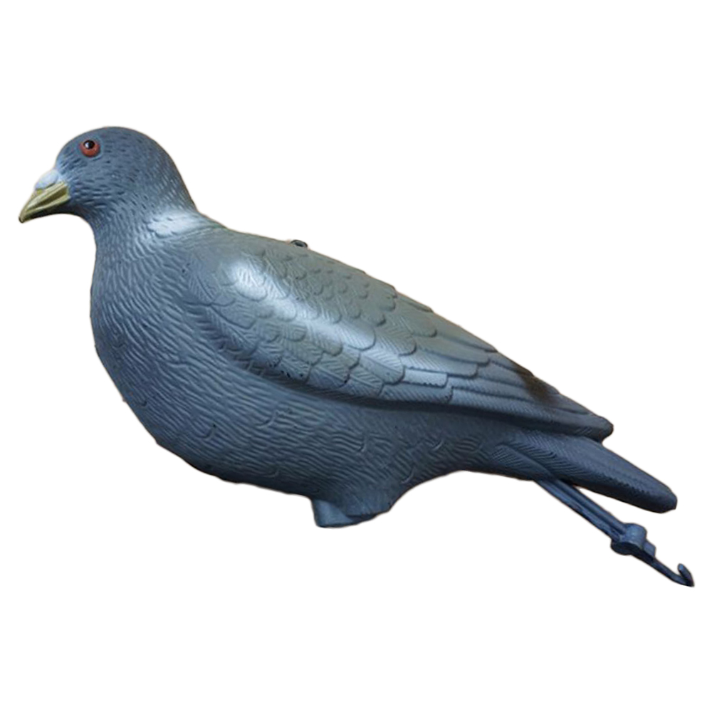 SQ-P005