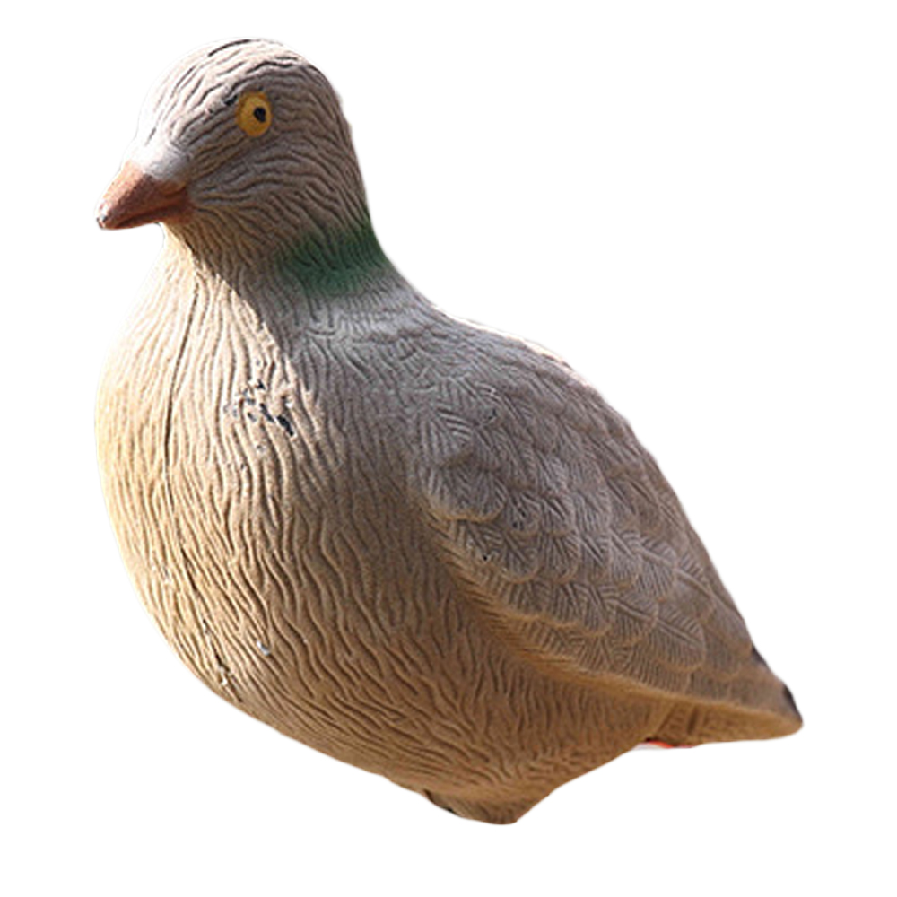 SQ-P001