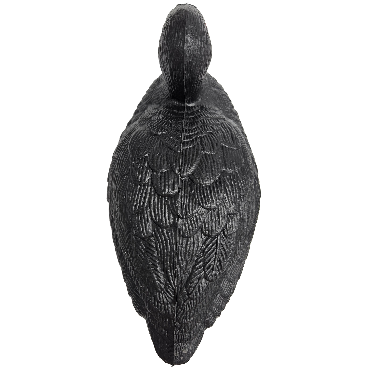 SQ361coot duck decoy