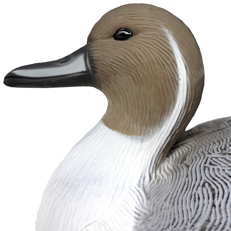 SQ 303 Pintail duck decoy