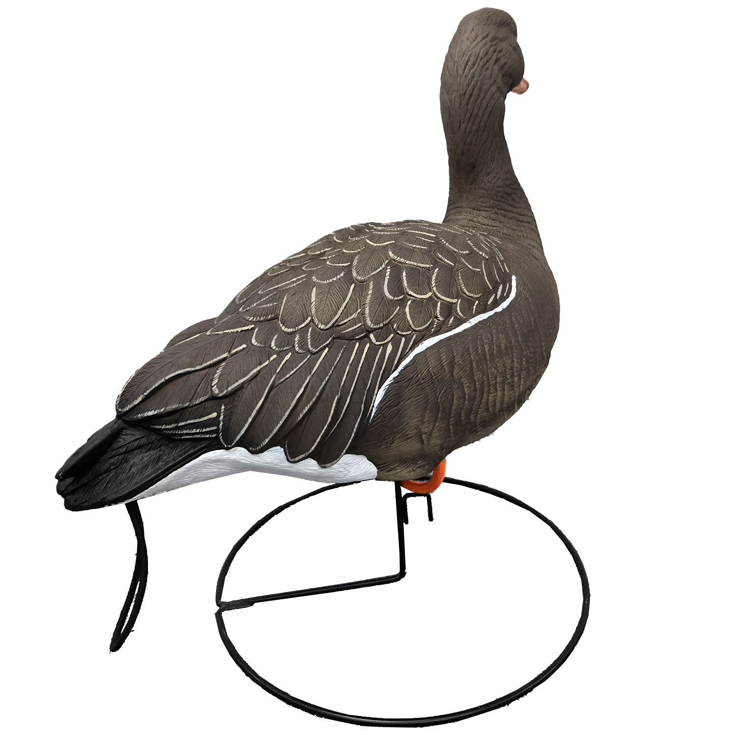 SQ351 Orange-legged Goose HDPE GOOSE DECOY