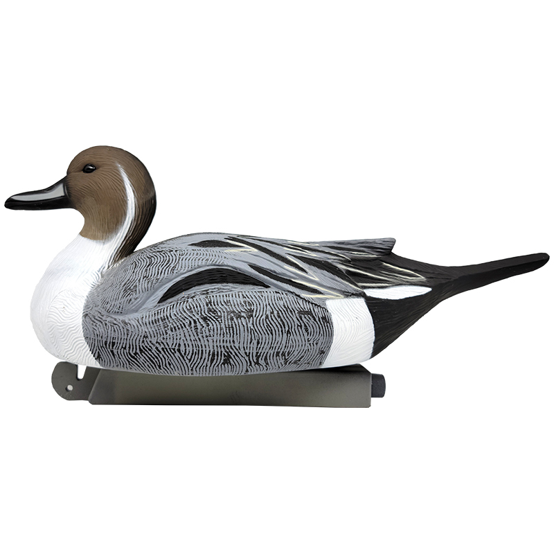 SQ 303 Pintail duck decoy