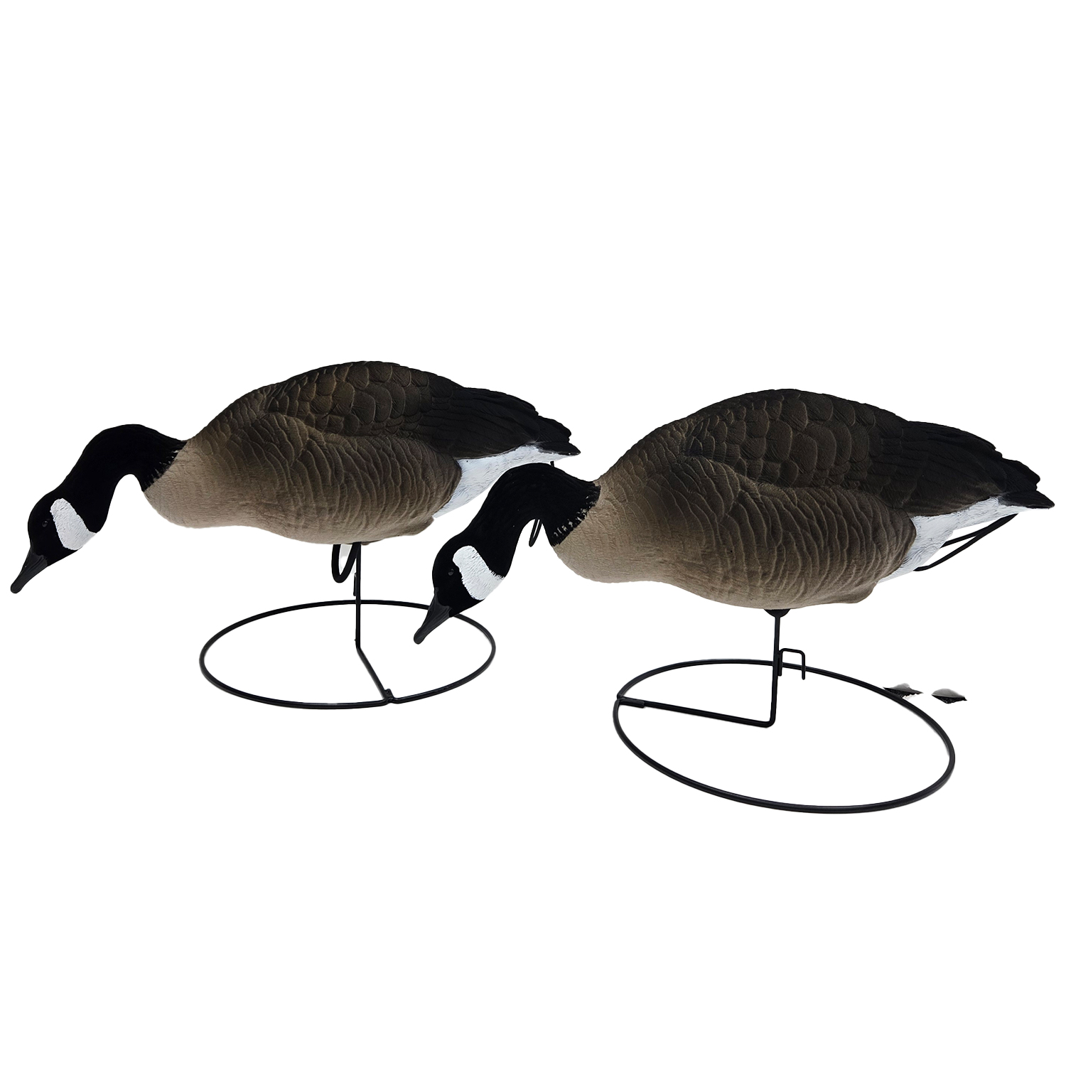SQ349 HDPE Flocked Canada Goose