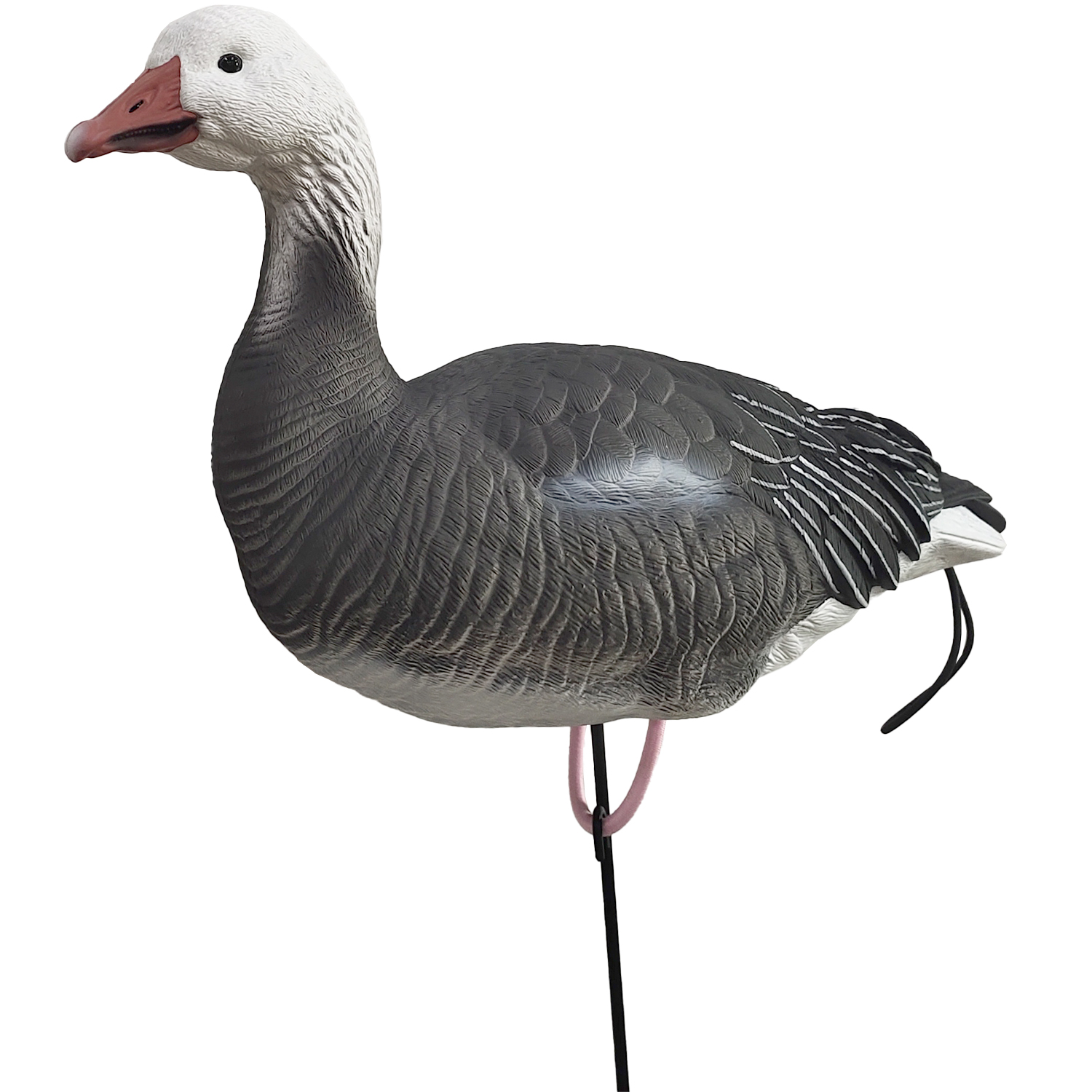 SQ348-2 Blue Goose Decoy 