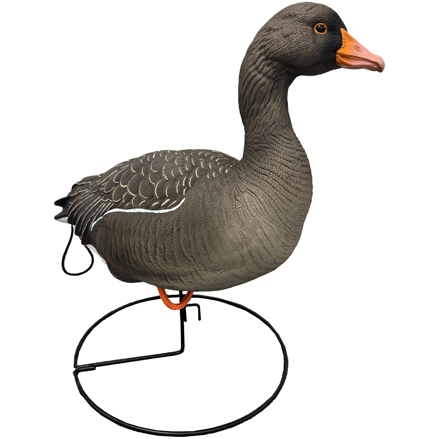SQ351 Orange-legged Goose HDPE GOOSE DECOY