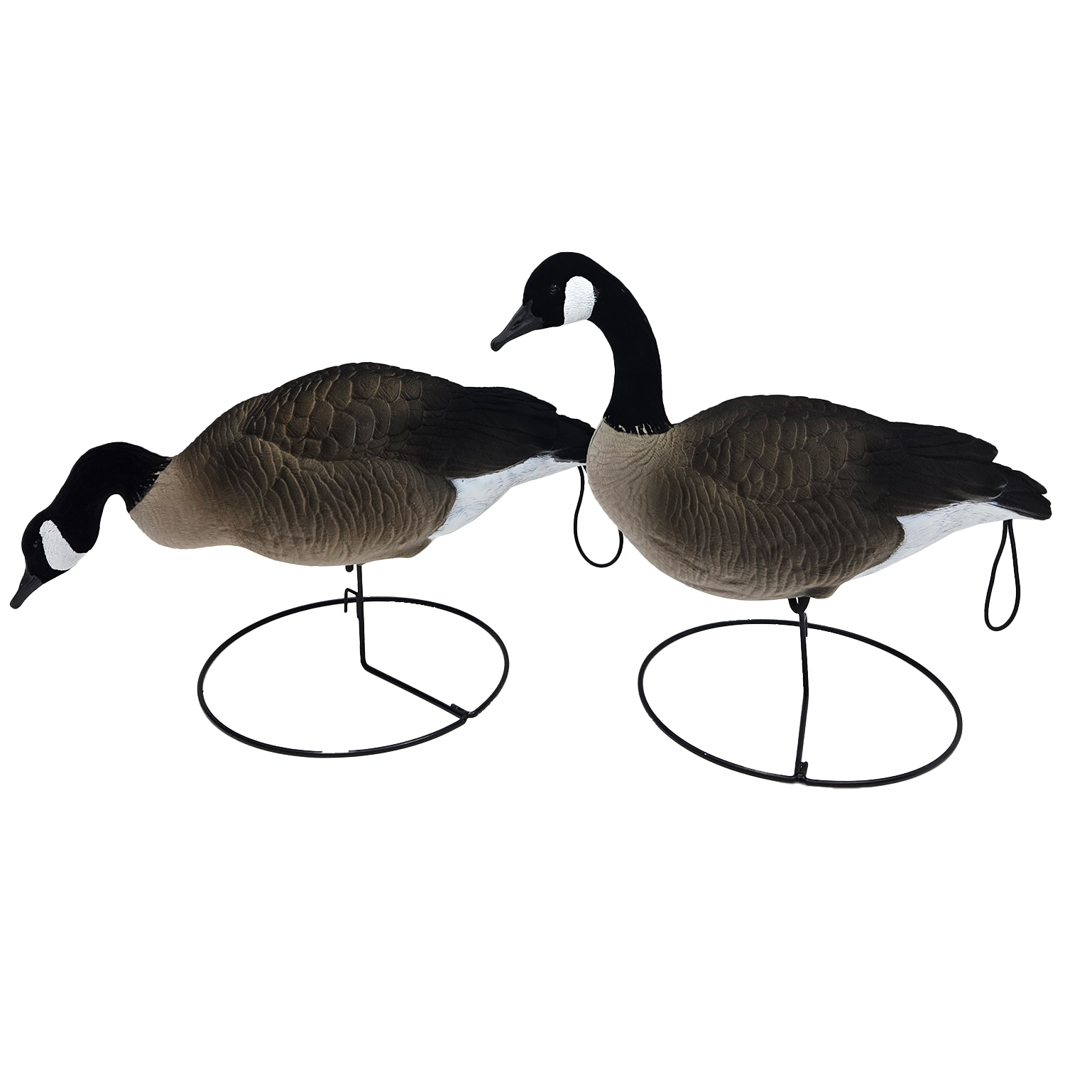 SQ349 HDPE Flocked Canada Goose