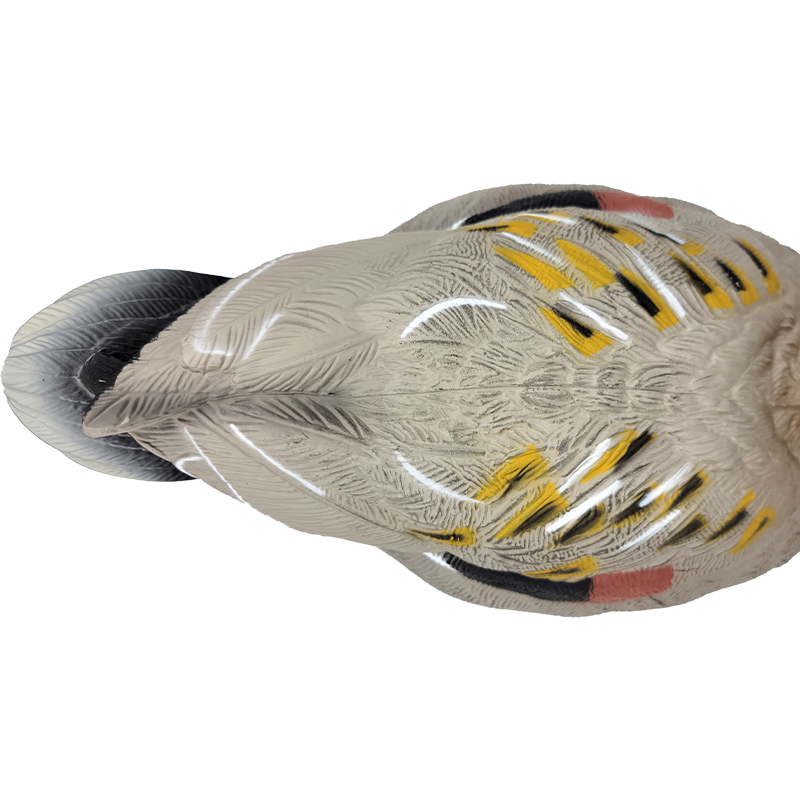 SQ 305 Red Wing Duck decoy