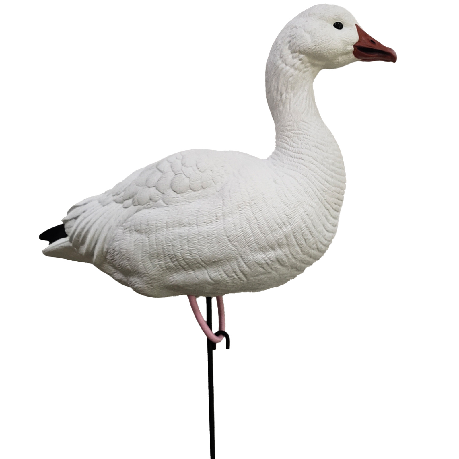 SQ348-1 Snow Goose Decoy