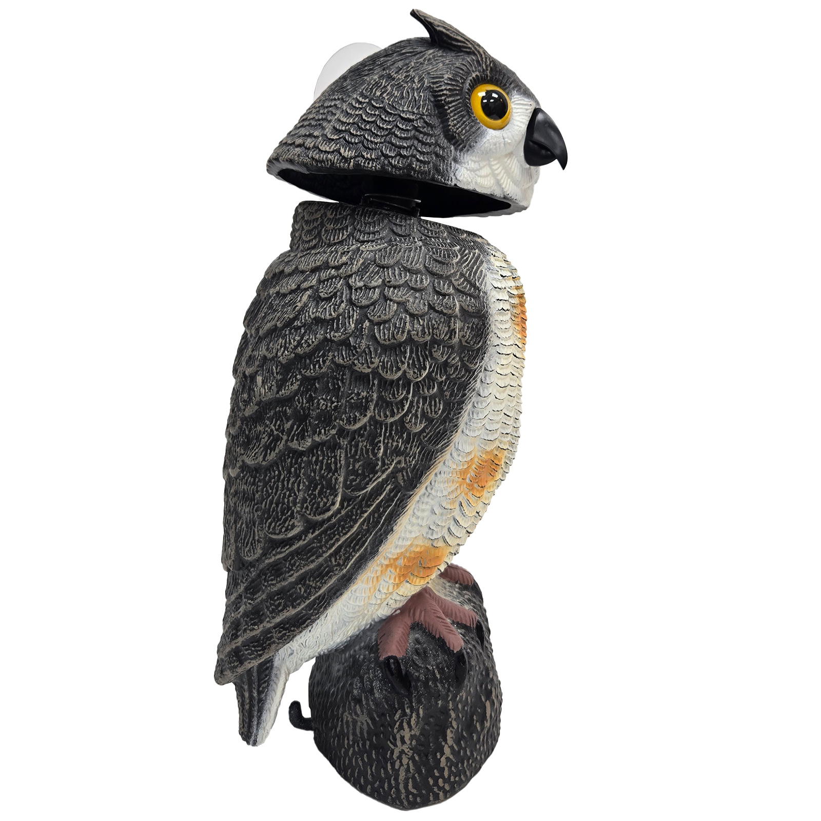 SQ344-1 owl decoy