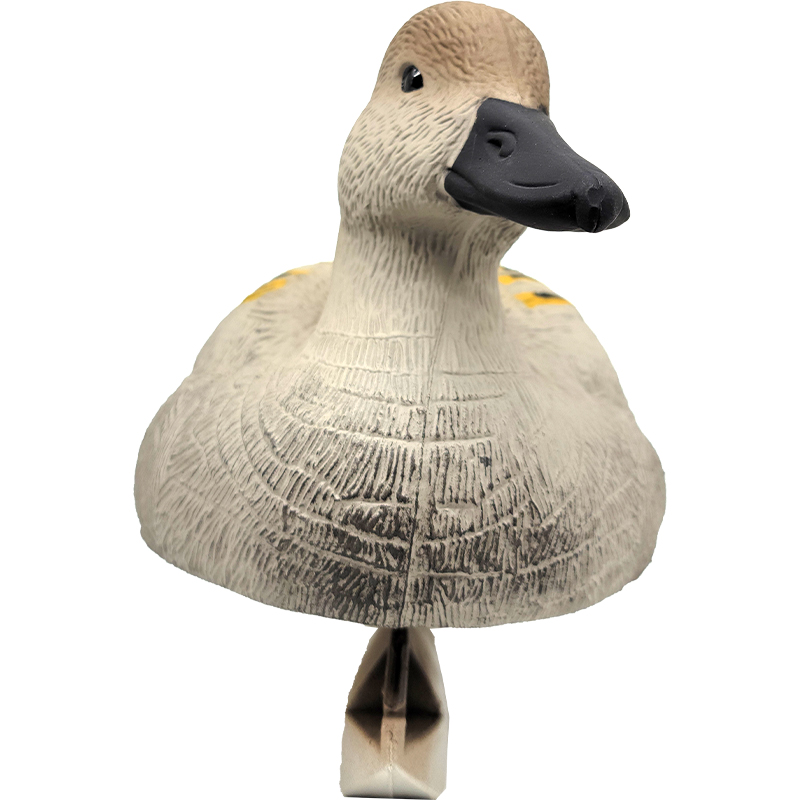 SQ 305 Red Wing Duck decoy