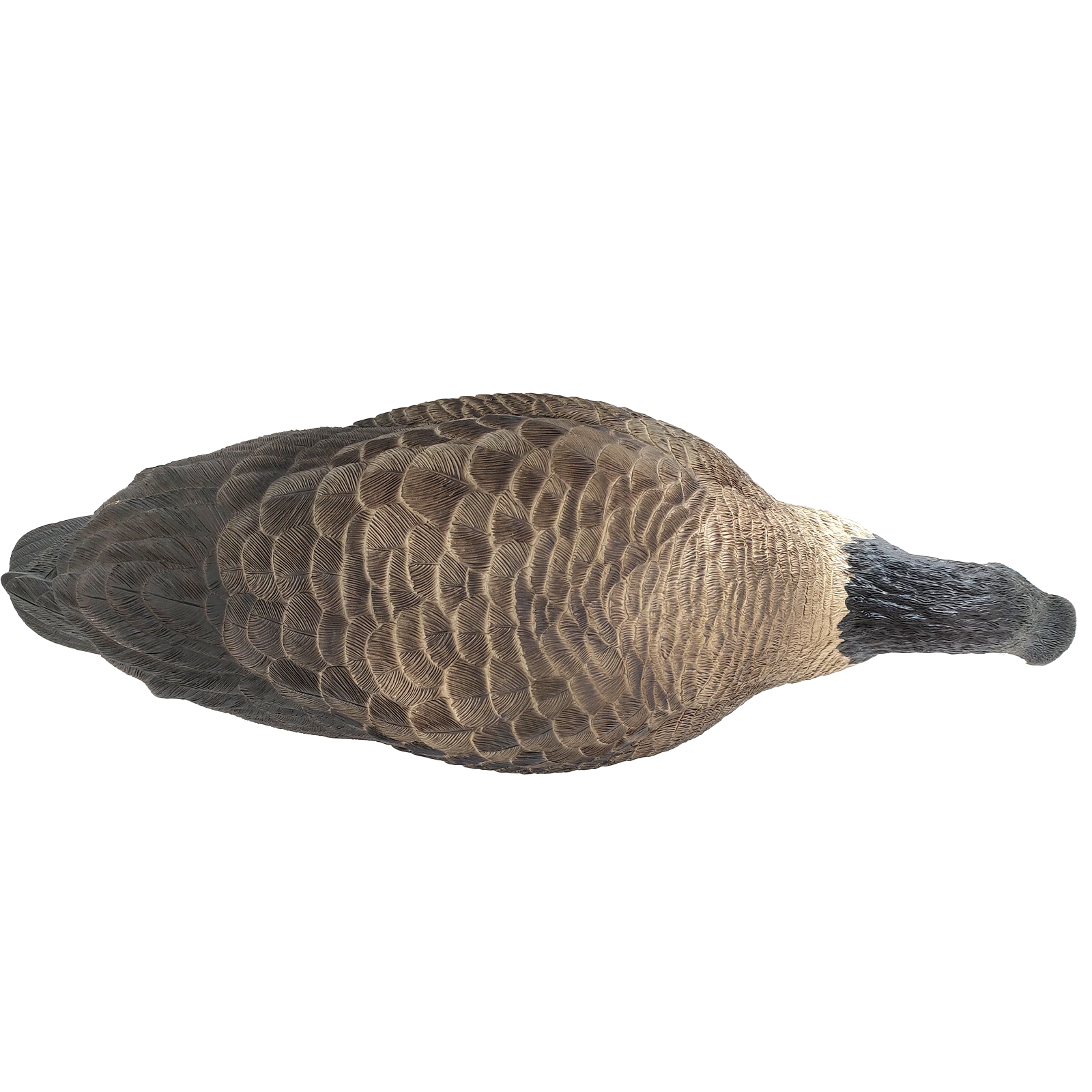 SQ344-2 Hard Canada Goose Decoy