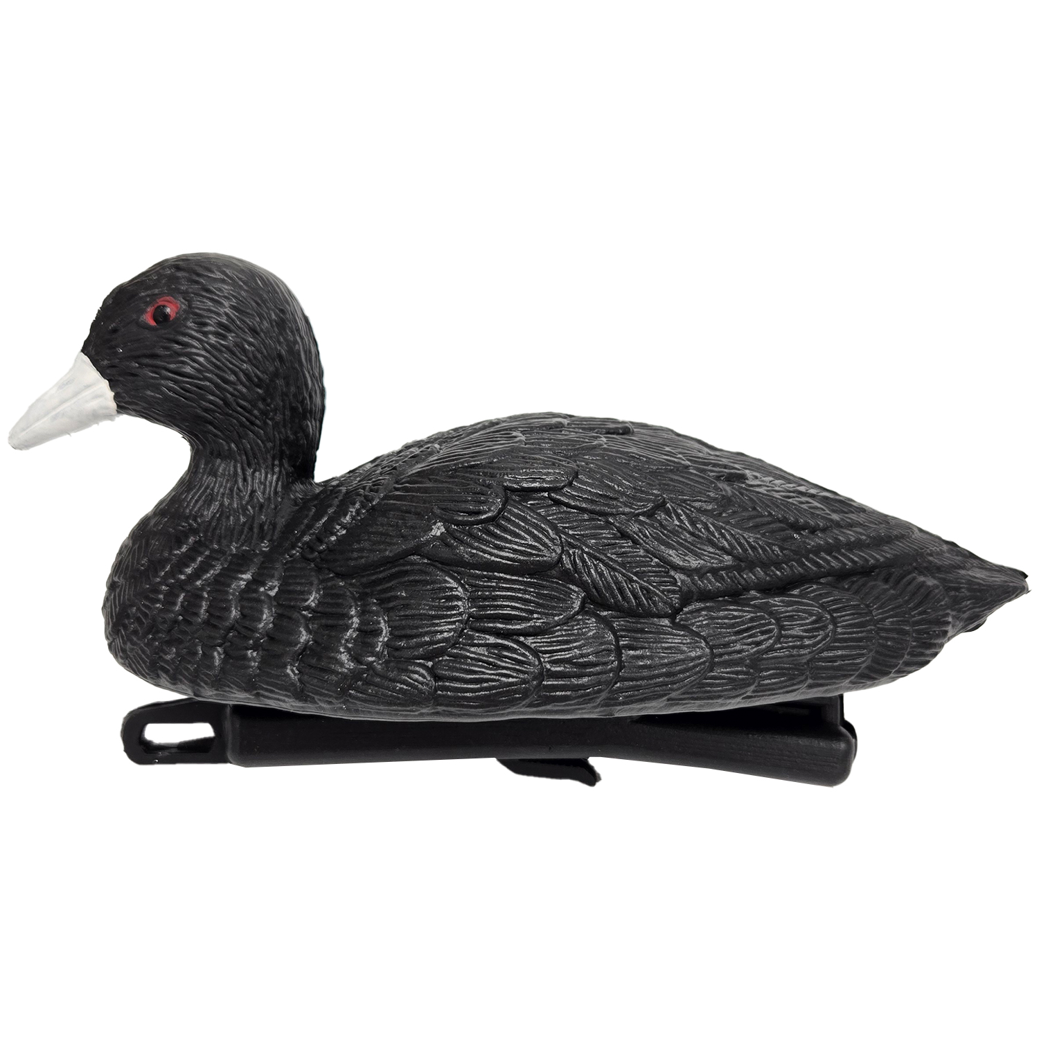 SQ361coot duck decoy