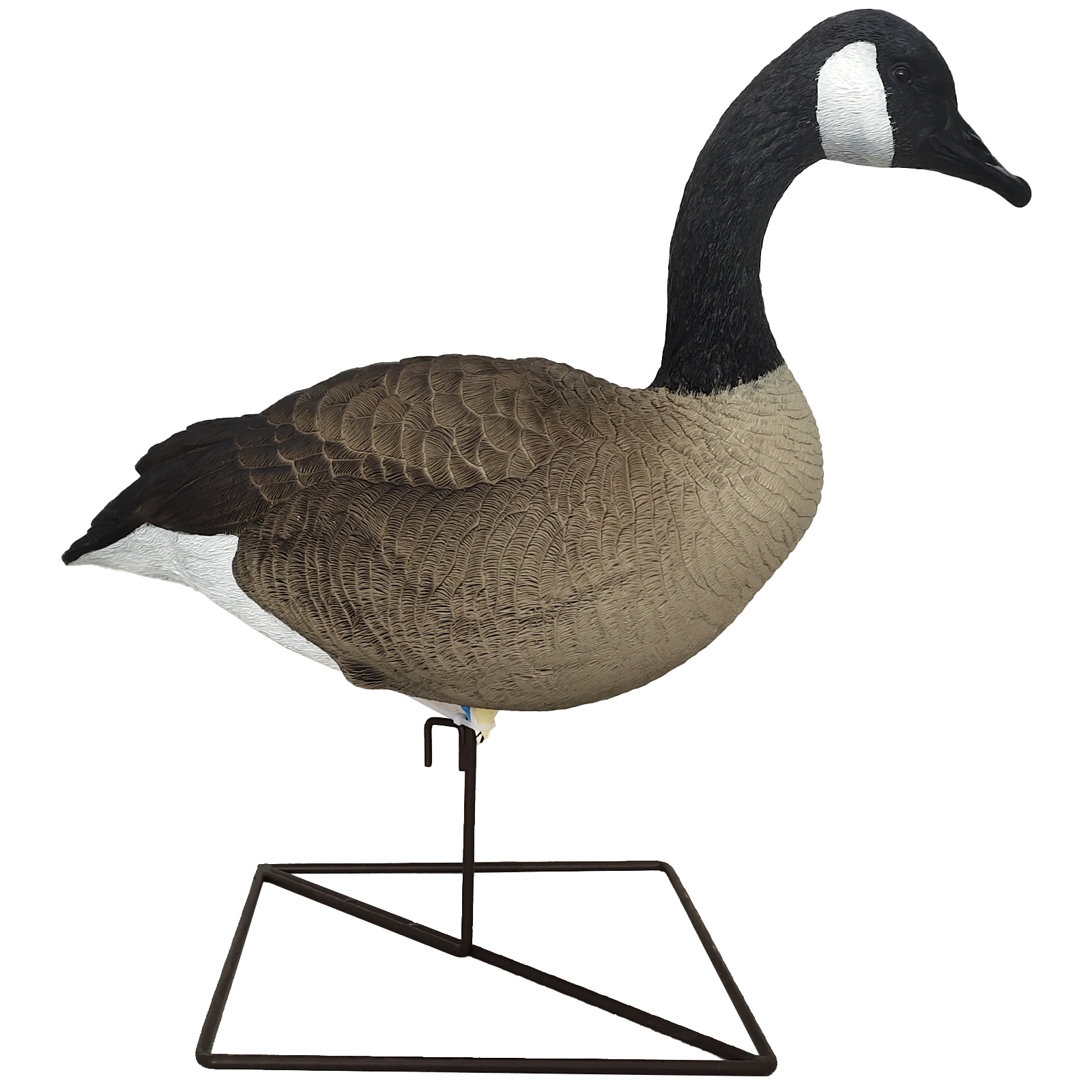 SQ347-1 Hard Canada Goose decoy
