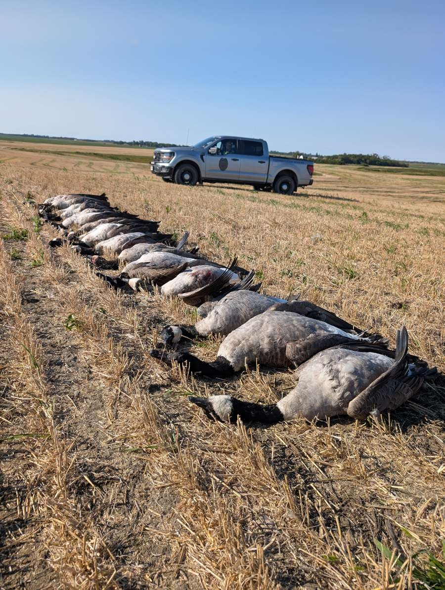 News Release: New Premium EVA Hunting Decoys Launched – Lightweight, Durable & Highly Realistic for Improved Hunting Success