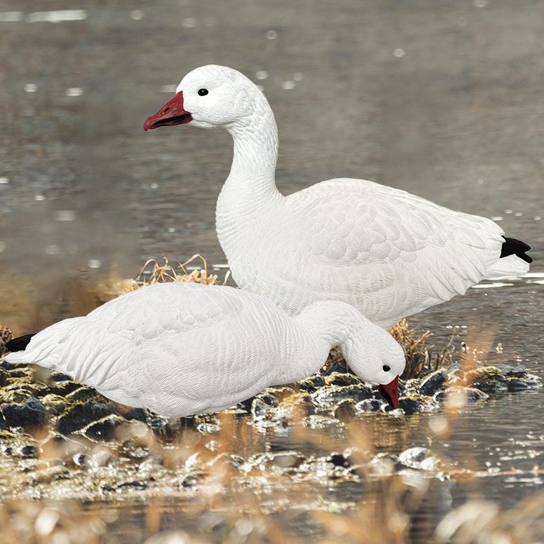 US Hunting Outfitter: Goose Decoys Boost Hunting Success Rates