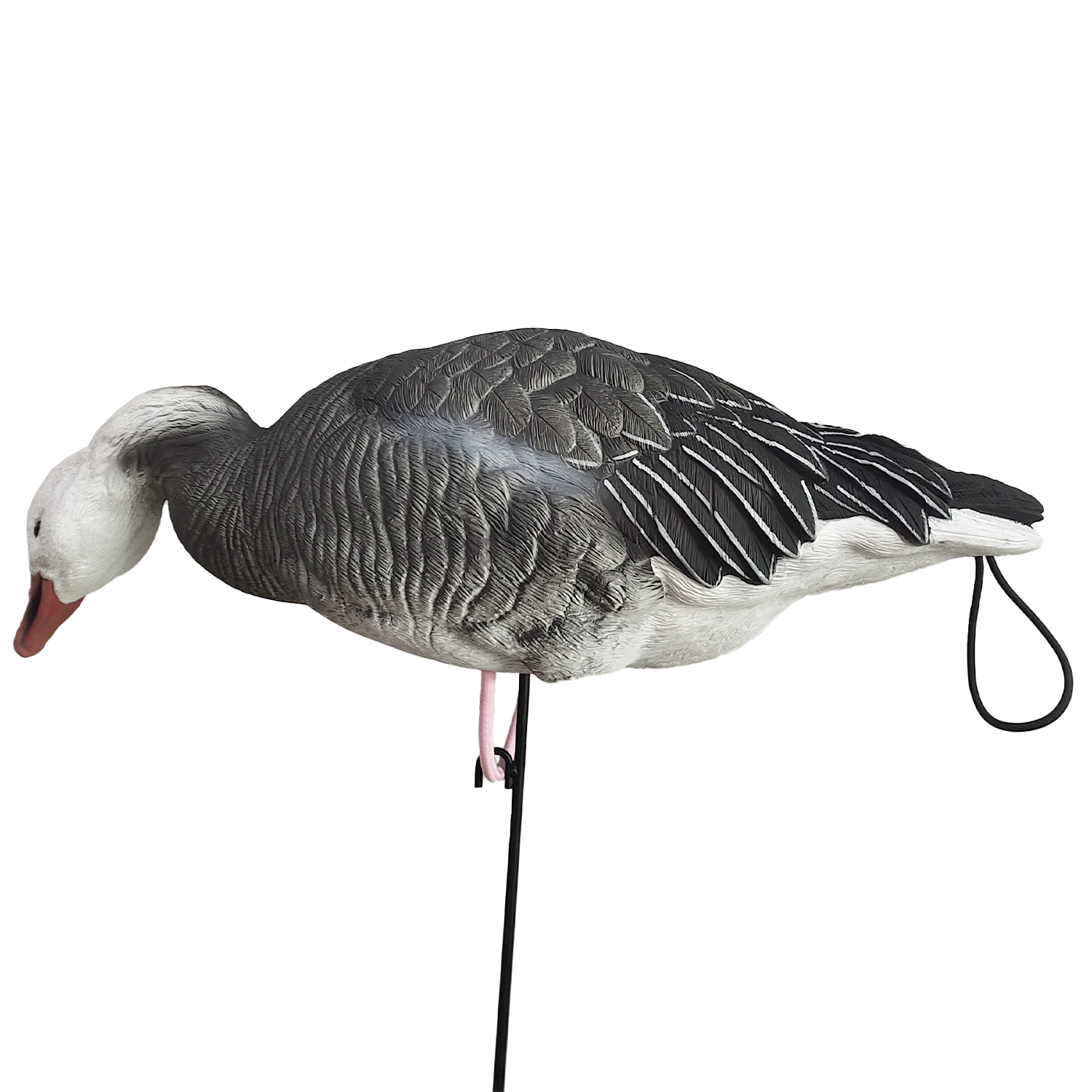 SQ348-2 Blue Goose Decoy 