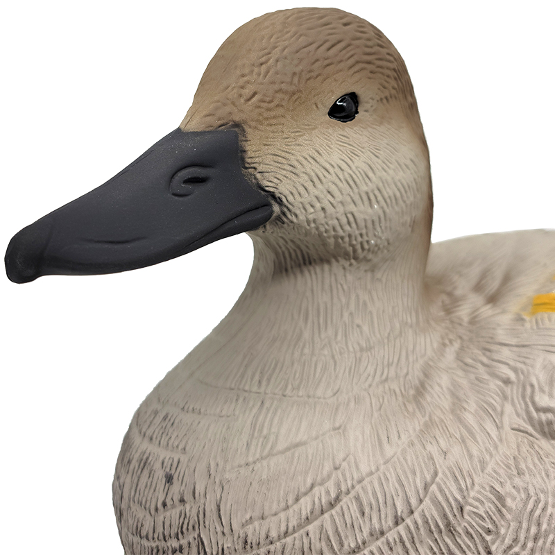 SQ 305 Red Wing Duck decoy