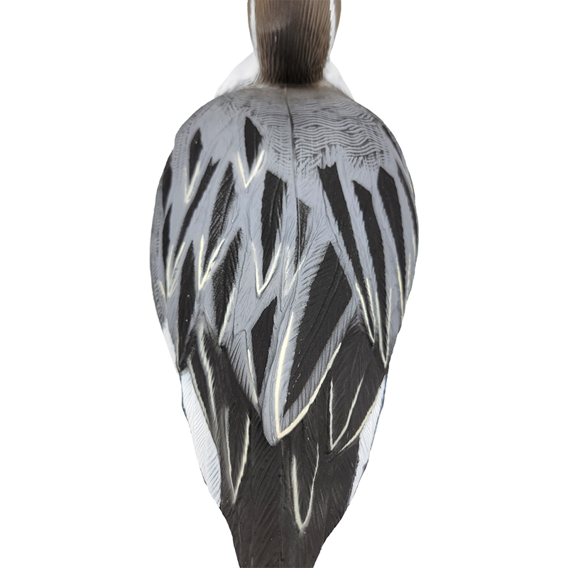 SQ 303 Pintail duck decoy