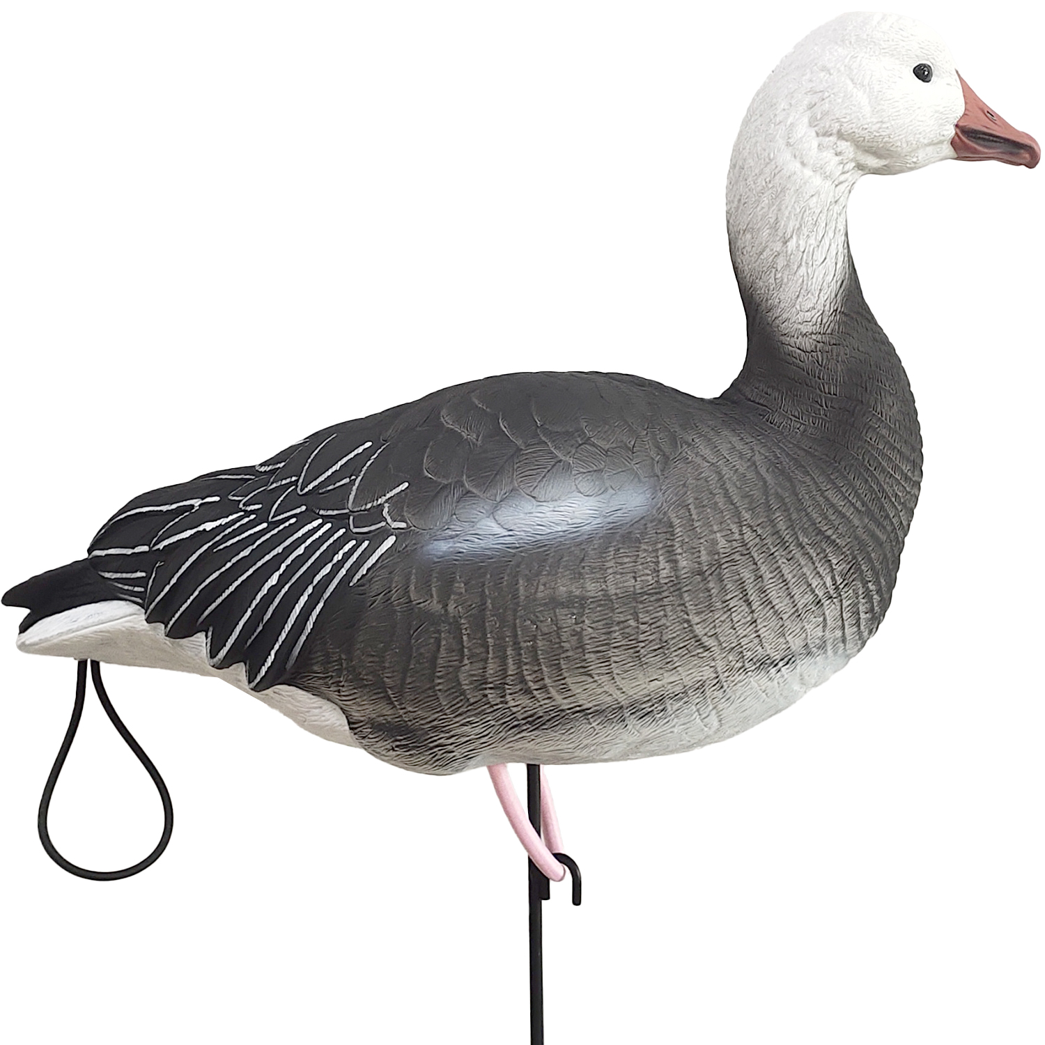 SQ348-2 Blue Goose Decoy 