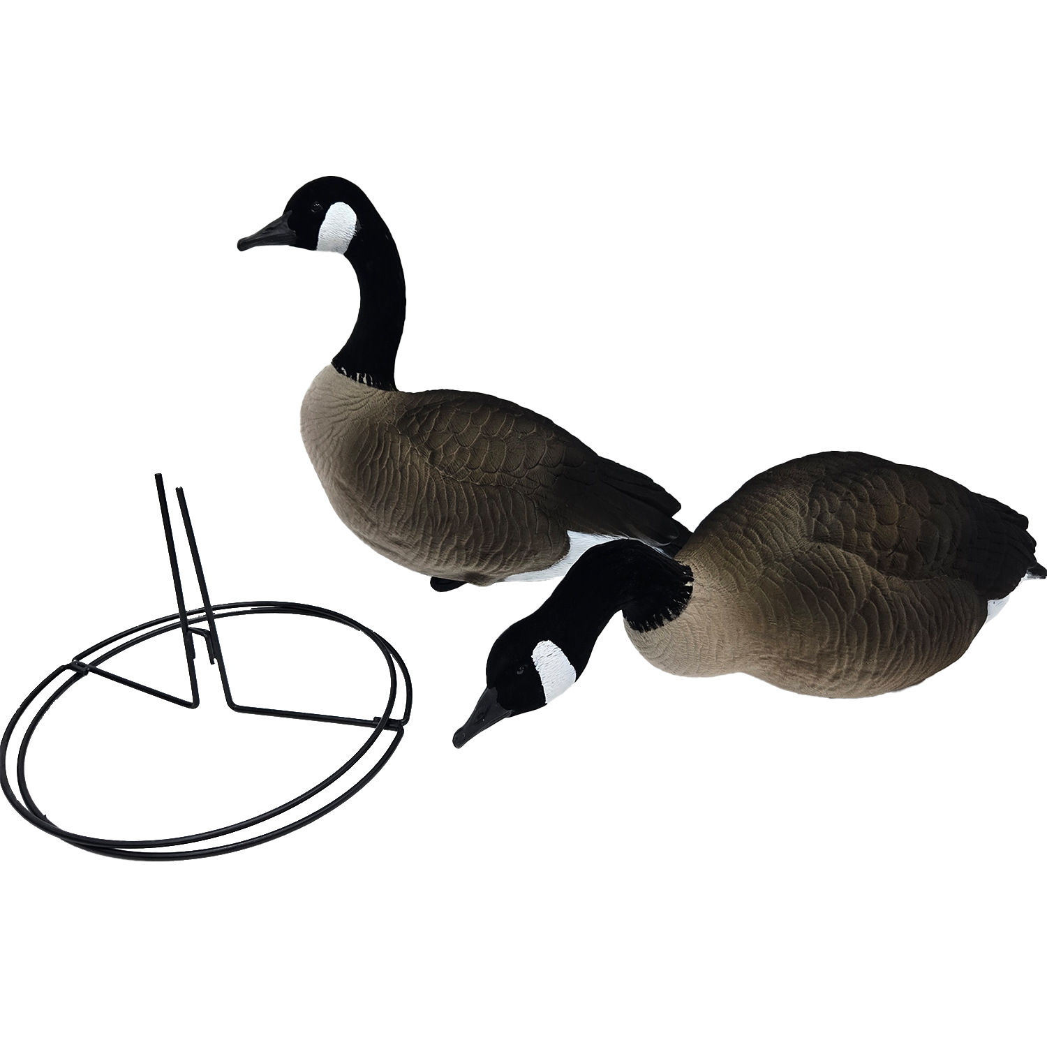 SQ349 HDPE Flocked Canada Goose