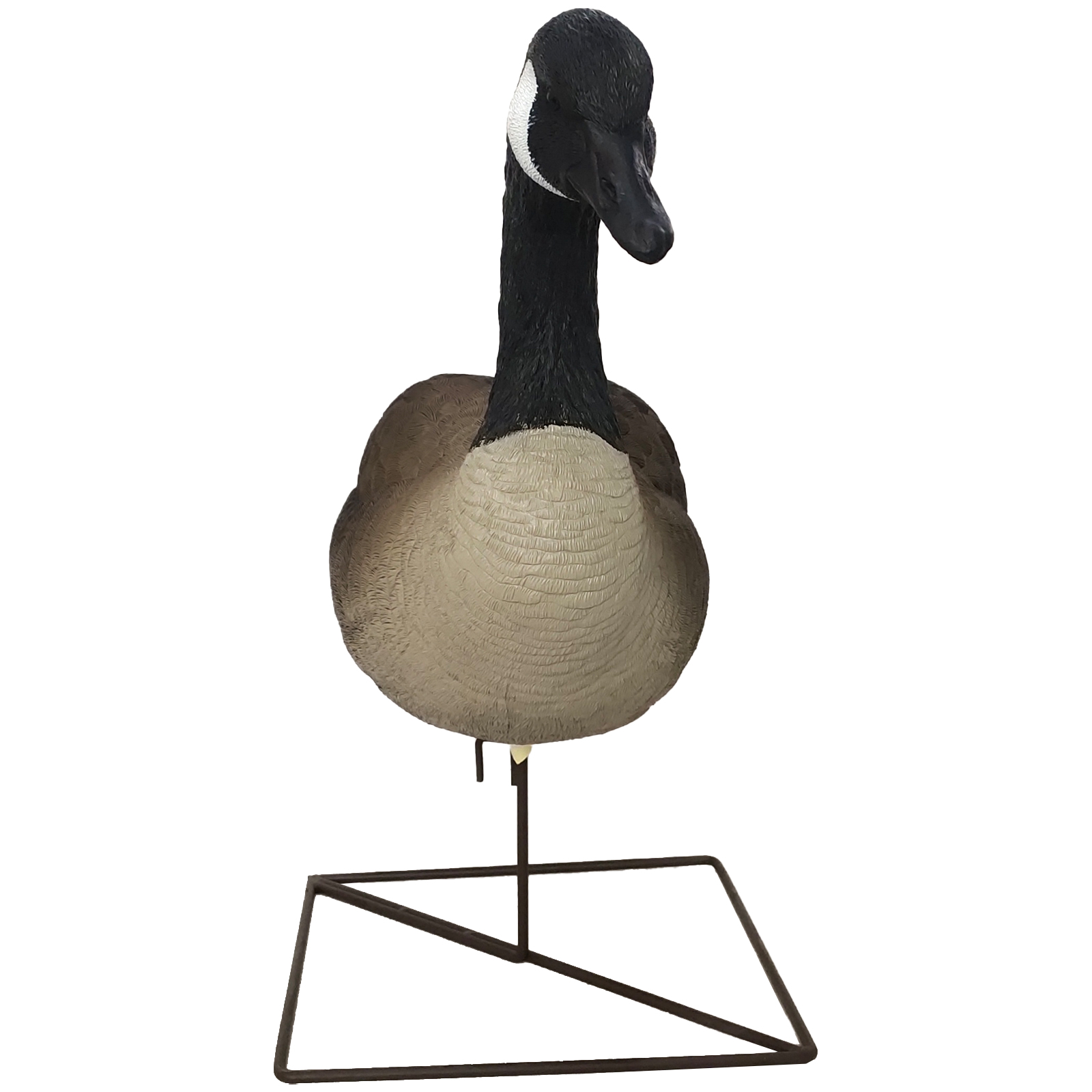 SQ347-1 Hard Canada Goose decoy