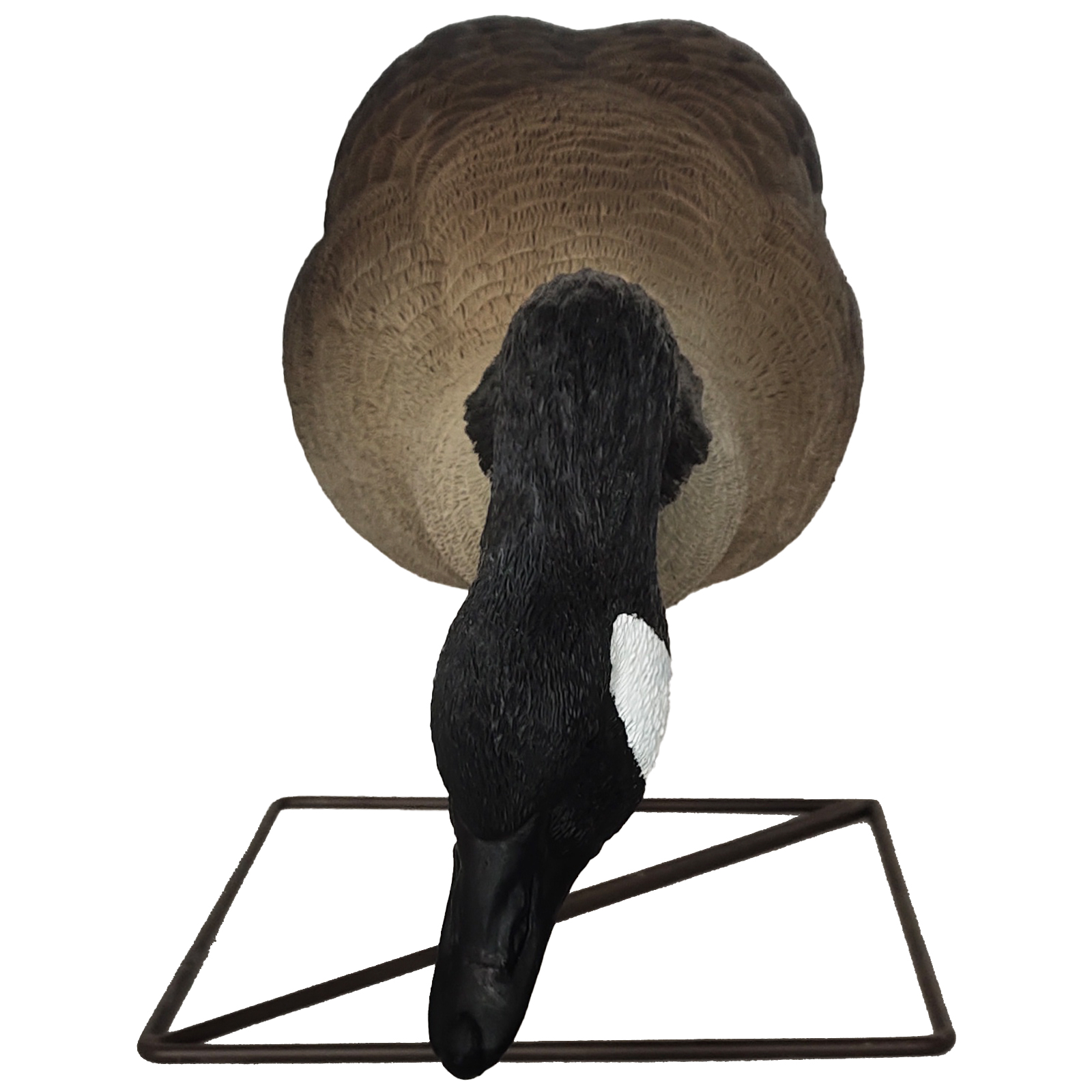 SQ347-1 Hard Canada Goose decoy