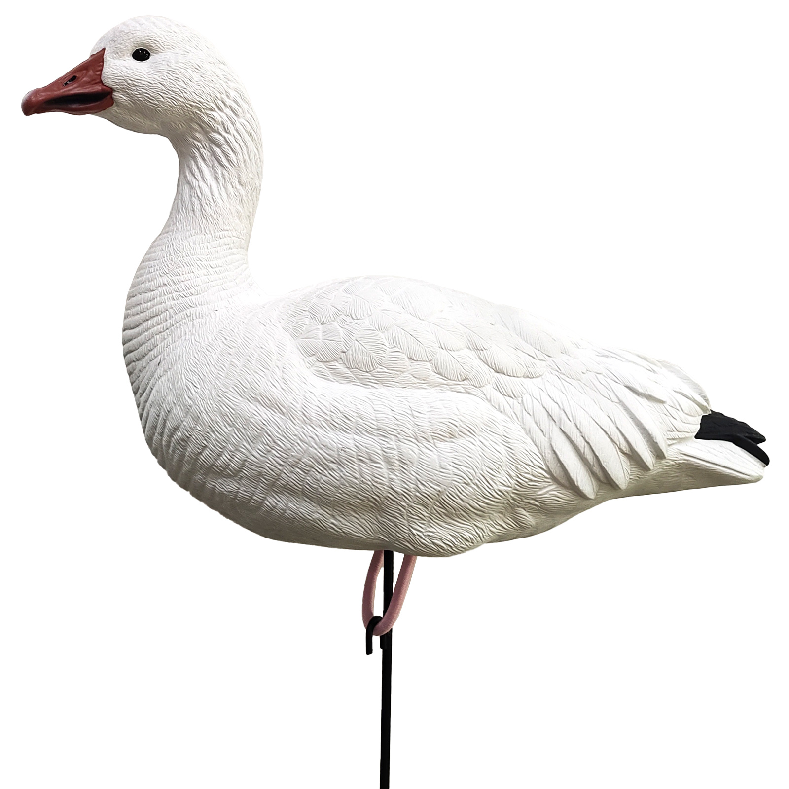 SQ348-1 Snow Goose Decoy