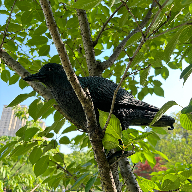 SQ341-10 crow decoy