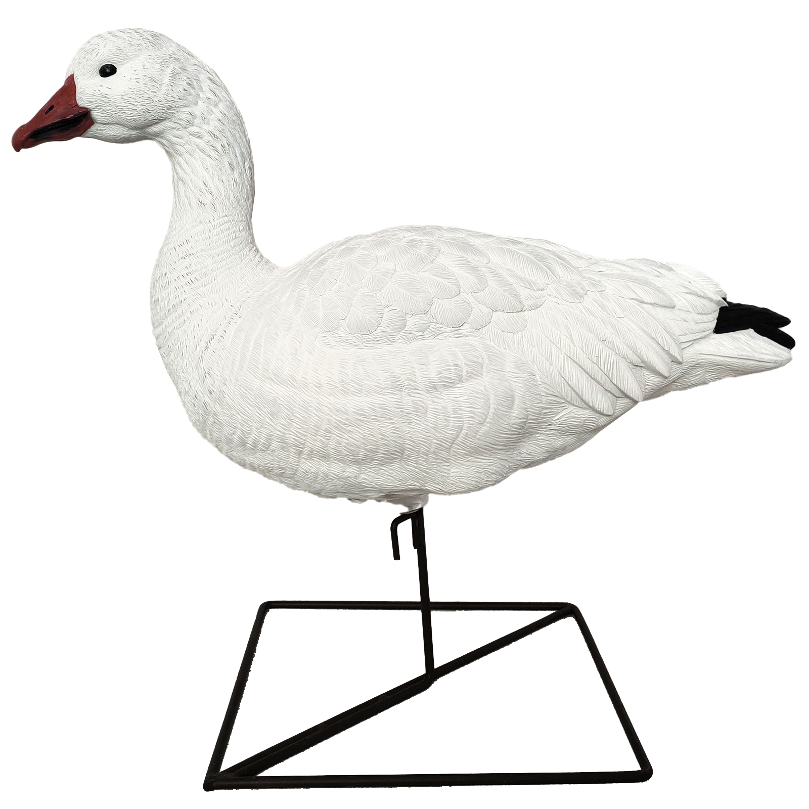SQ347-2 hard snow goose deocy