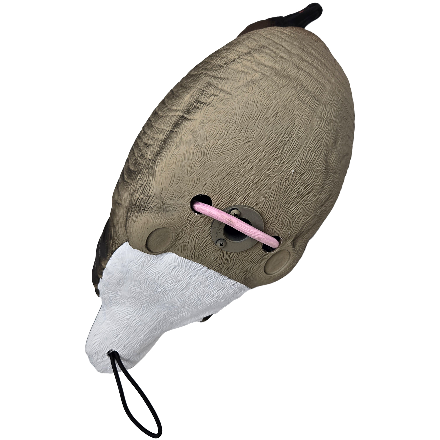 SQ350  Pink-footed Goose HDPE GOOSE DECOY
