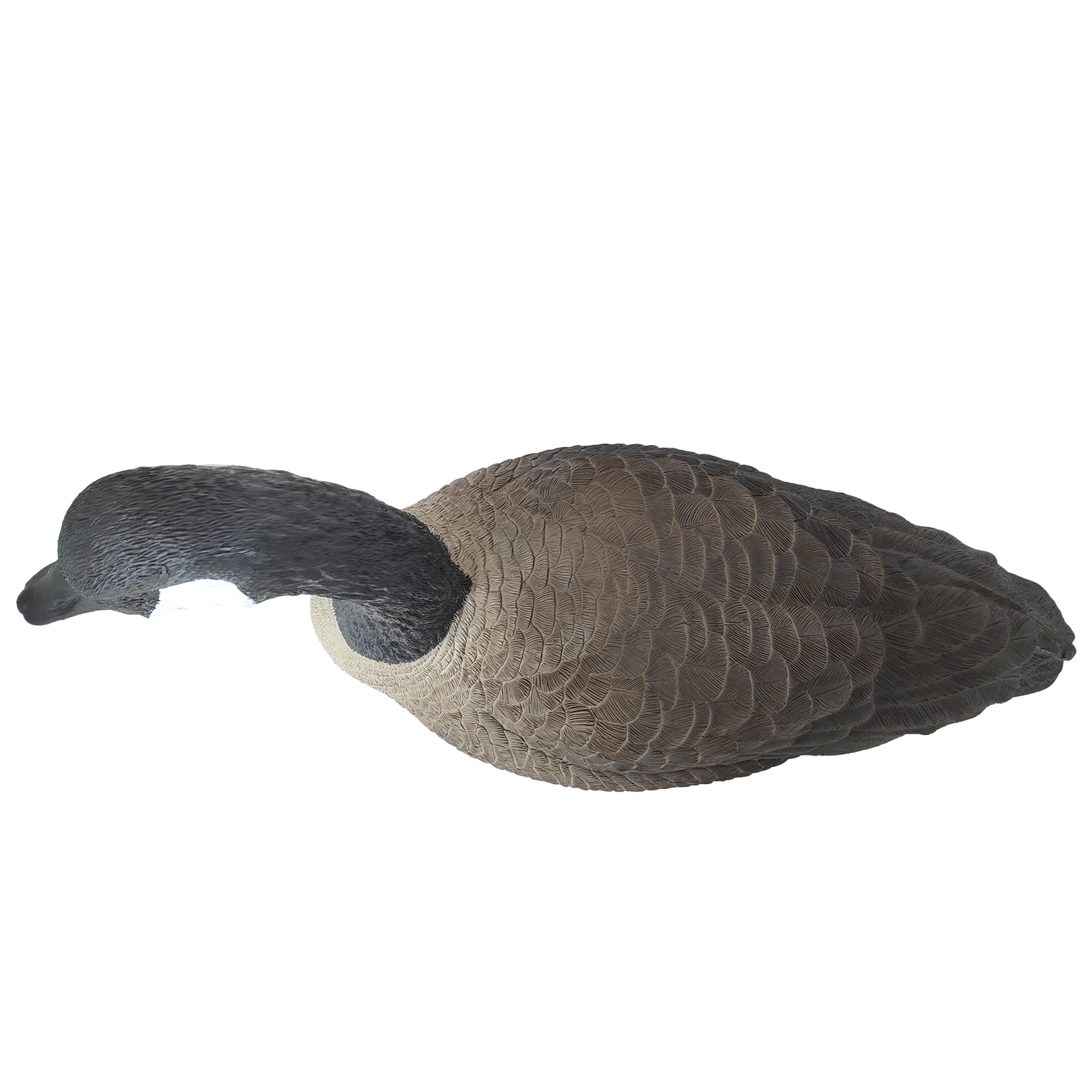 SQ344-2 Hard Canada Goose Decoy
